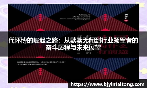代怀博的崛起之路:从默默无闻到行业领军者的奋斗历程与未来展望