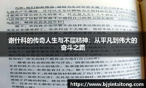 谢什科的传奇人生与不屈精神:从平凡到伟大的奋斗之路